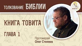 Книга Товита. Глава 1. Протоиерей Олег Стеняев. Библия. Ветхий Завет