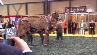 Warhorse behind the scenes