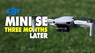 DJI Mini SE Beginners Guide - Watch This Before Buying | DansTube.TV