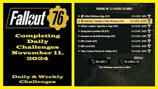 Completing Daily Challenges For November 11, 2024 - Fallout 76 Daily Challenge Guide