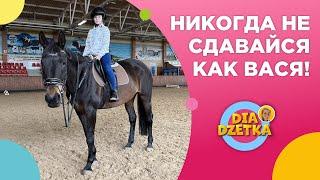 Никогда не сдавайся, как Вася! ДиаКони и лошади с "фишкой".