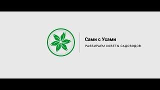 Сами с усами | Посадка луковичных