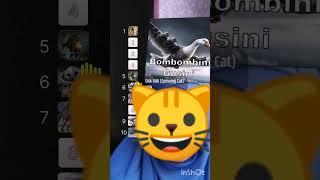 Snapcat