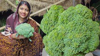 রুটি কিংবা ভাতের সঙ্গে ব্রকলির এই রেসিপিটি থাকলে আর কোনো কিছু লাগবে না।। broccoli recipe