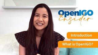 Nice to meet you! | OpenIGO Insider #01