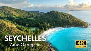 Seychelles   - Anse Georgette in 4K - 10 Minute Mindfulness Meditation in Paradise