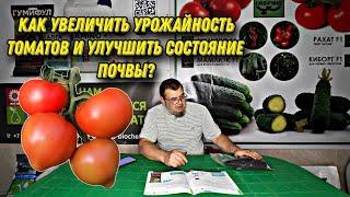 Лингогумат калия: эффективное средство для налива плодов томата и оздоровления почвы