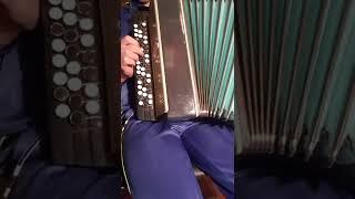 ACCORDION "MOLODECHNO 2" TEST ***SOLD***