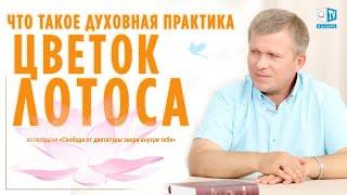 Что такое Цветок Лотоса