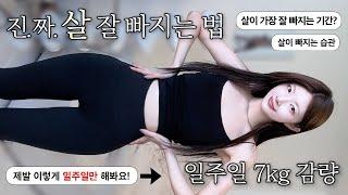 49kg️42kg, 일주일 7kg 감량살이 가장 잘 빠지는 기간?! 곧 그날인 분들 ‍️황금기 다이어트 동안에 한 건강한 다이어트 꿀팁, 모태마름되는 습관 [EP.92]