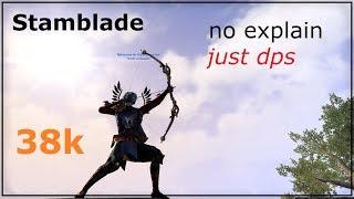 No explain - just DPS - 38k Stamblade