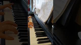 И. Штраус - Голубой Дунай #piano #relax #music #фортепиано #pianomusic #pianosolo