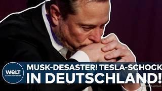 DEUTSCHLAND: Tesla-Schock! Das ist ein Desaster für Trump-Kumpel Elon Musk