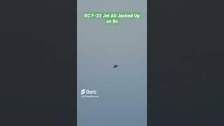 Watch This Insane F-22 RC Jet Reach Speeds of OVER 120 mph!