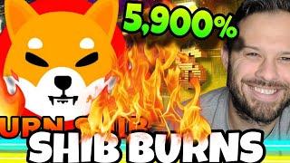 Shiba Inu Coin | A 5,900% Increase In The SHIB Burn Rate Is Good News!