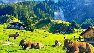 Switzerland Countryside life - Stäubifall, Most beautiful Waterfall on  Earth - Relaxing walk