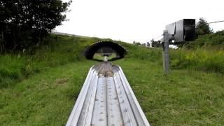 Sommerrodelbahn Schwarzwaldpark (Löffingen, D)