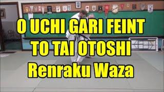 O UCHI GARI FEINT TO TAI OTOSHI RENRAKU WAZA