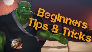 Top 5 Beginner Tips & Tricks - War and Order