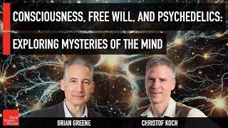 Consciousness, Free Will, and Psychedelics: Exploring Mysteries of the Mind