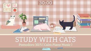 Study with Cats  Pomodoro Timer 30/5 x Animation | For busy study day | Soothing piano music️‍🩹