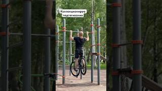 Коллекционирую подтягивания #подтягивания #зож #тренировки #турник #29регион #архангельск #наспорте