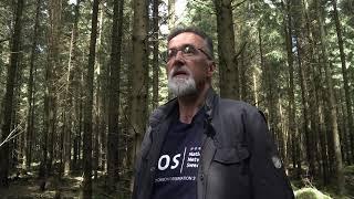 Clearcutting Emits Huge Amounts of Carbon - Anders Lindroth (ICOS)