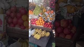 Indian dishes 