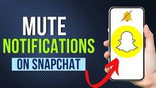 How To Mute Notifications On Snapchat 2024