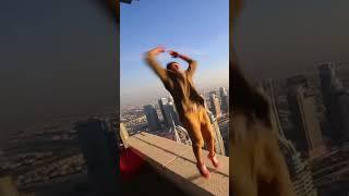 MAN RIDES BIKE ON THE SIDE OF A SKYSCRAPER! | The Proof Is Out There | #Shorts