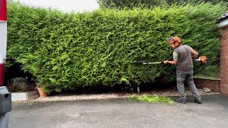 Homeowners Overgrown Hedge had not been Cut for 3 Years!