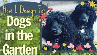 Dogs in the Garden: How I Keep My Plants & Poultry Safe. Answering Your Questions