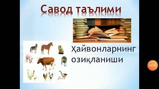 1 синф Савод таълими  173 дарс  Муаллиф Камолова Динора