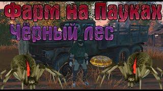 Фарм на Пауках.Чёрный Лес (Stalker Online/Stay Out)