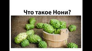 Что такое Нони?