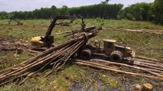 Tigercat clambunk skidder and logger - swamp logging