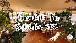 Walk with me Houseplant Tour September 2022 | Clay Soil Garden