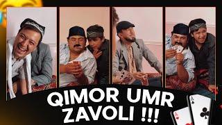 Mittivine | Qimor umr zavoli ️️️