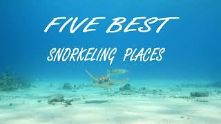 Exploring the Underwater Wonders: 5 Best Snorkeling Places in the World