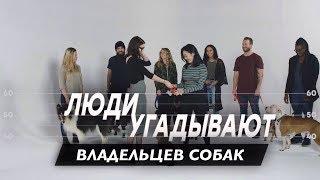 Люди Угадывают Владельцев Собак