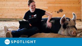 The Little Red Barn Micro Sanctuary Aims to Teach Empathy and Compassion Towards Farm Animals