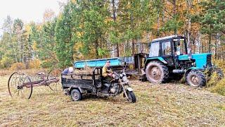 ОСЕННИЙ СЕНОКОС. СИБИРСКАЯ ГЛУБИНКА В ИРКУТСКОЙ ОБЛАСТИ.