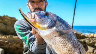 A beautiful SNAPPER light lure fishing on the ROCKS