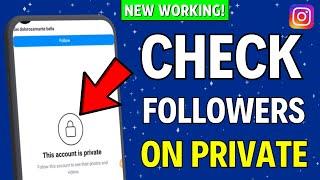 How to Check Followers on Private Instagram Account (2024)