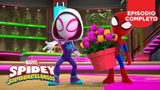 Spidey y sus Sorprendentes Amigos | Episodios Completos | Crezcan telarañas + Rio en el espacio