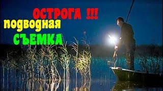 ОСТРОГА!!! подводная съемка!! ЗАКРЫТИЕ СЕЗОНА.