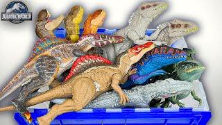 NEW Trex, Irex, Spino, Giga Dino Figure Collection! | Jurassic World Dominion Dinosaur Collectables