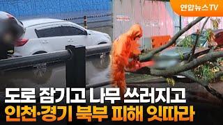도로 잠기고 나무 쓰러지고…인천·경기 북부 피해 잇따라 / 연합뉴스TV (YonhapnewsTV)
