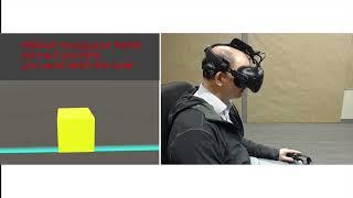 Follow Your Nose: Extended Arm Reach After Pinocchio Illusion in Virtual Reality