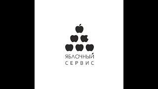 Ремонт iPhone в Яблочном Сервисе